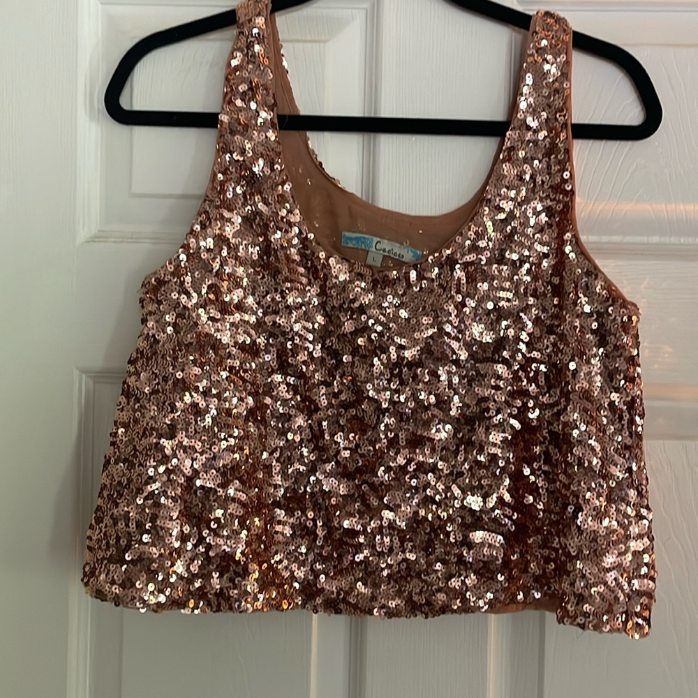 Glitter crop top